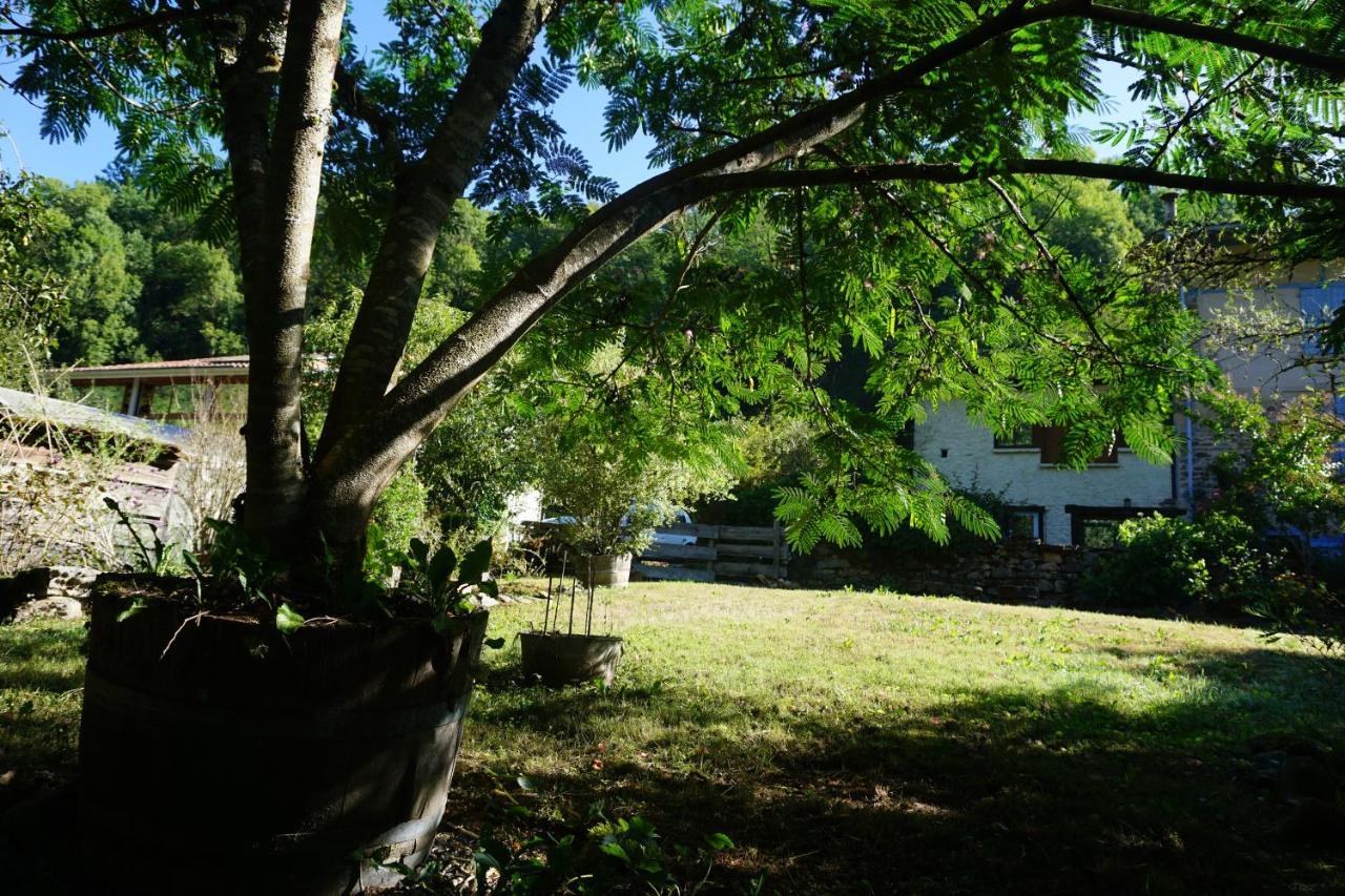 Villa Les Hiboux Castelnau-Durban Exterior foto